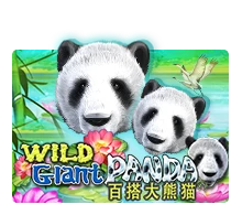 Wild Giant Panda - DELUXEPLAY88