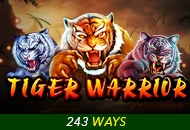 Spadegaming : Tiger Warrior - DELUXEPLAY88